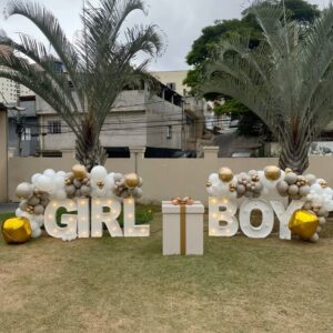 Chá de Bebê BB20
