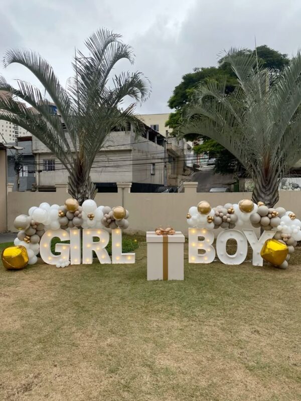 Chá de Bebê BB20
